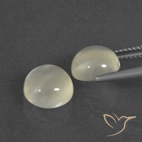 Gemas de Piedra de Luna Blanco cálido natural de 5.91 ct, Redondo, Translúcido
