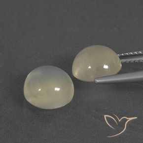 Gemas de Piedra de Luna Blanco cálido natural de 6.30 ct, Redondo, Translúcido