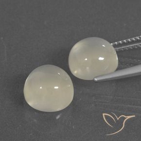 Gemas de Piedra de Luna Blanco cálido natural de 7.04 ct, Redondo, Translúcido