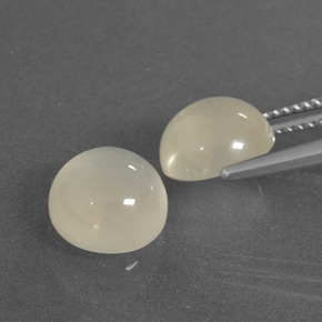 Gemas de Piedra de Luna Blanco cálido natural de 6.09 ct, Corte Redondo, Translúcido