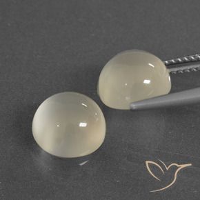 Gemas de Piedra de Luna Blanco cálido natural de 6.49 ct, Redondo, Translúcido