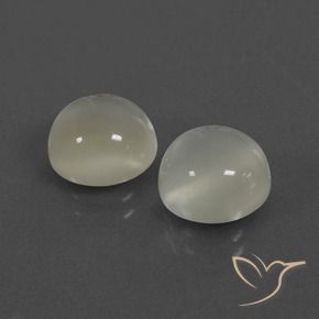 Gemas de Piedra de Luna Blanco cálido natural de 6.79 ct, Redondo, Translúcido
