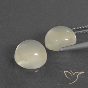 Gemas de Piedra de Luna Blanco cálido natural de 6.27 ct, Redondo, Translúcido