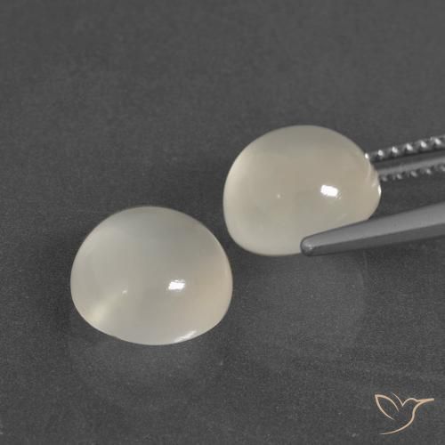 Gemas de Piedra de Luna Blanco cálido natural de 6.28 ct, Redondo, Translúcido