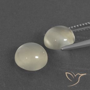 Gemas de Piedra de Luna Blanco cálido natural de 5.40 ct, Redondo, Translúcido