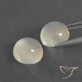 Gemas de Piedra de Luna Blanco cálido natural de 6.91 ct, Redondo, Translúcido