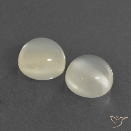 Gemas de Piedra de Luna Blanco cálido natural de 6.62 ct, Redondo, Translúcido