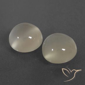 Gemas de Piedra de Luna Blanco cálido natural de 6.24 ct, Redondo, Translúcido