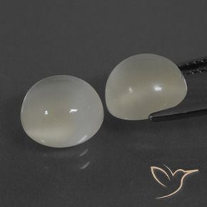 Gemas de Piedra de Luna Blanco cálido natural de 6.32 ct, Redondo, Translúcido
