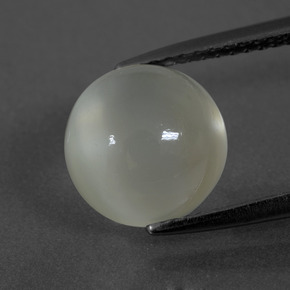 Piedra de Luna Blanco cálido natural de 3.73 ct, Corte Redondo, Translúcido