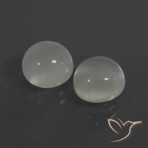 Gemas de Piedra de Luna Blanco cálido natural de 4.91 ct, Redondo, Translúcido