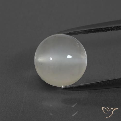 2.43ct Natural Blanco cálido Piedra de Luna, Redondo, Translúcido