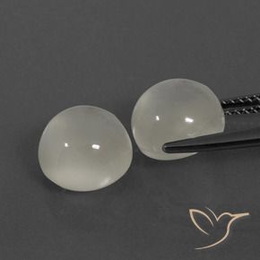 Gemas de Piedra de Luna Blanco cálido natural de 7.56 ct, Redondo, Translúcido