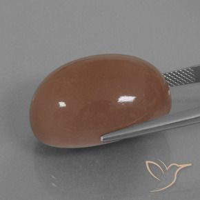 Piedra de Luna Marrón natural de 42.17 ct, Ovalada, Opaco