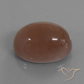 Piedra de Luna Marrón cálido natural de 44.24 ct, Ovalada, Opaco