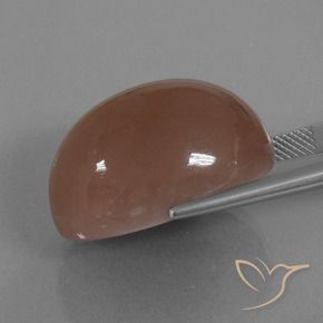 Piedra de Luna Marrón cálido natural de 44.24 ct, Ovalada, Opaco
