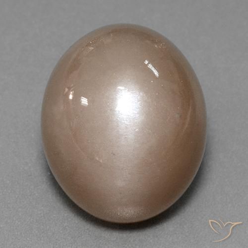 41.53ct Natural Marrón neutral Piedra de Luna, Ovalada, Opaco