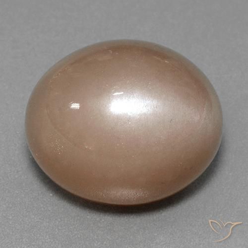 Piedra de Luna Marrón neutral natural de 41.53 ct, Ovalada, Opaco