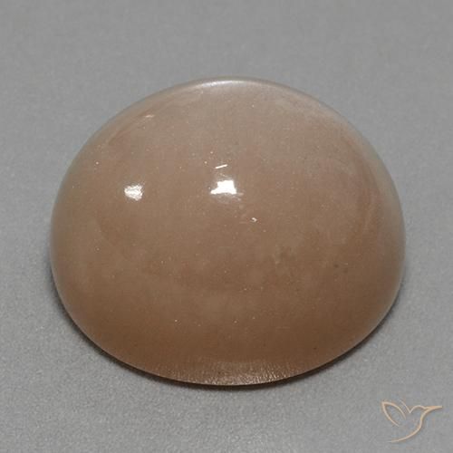 Piedra de Luna Marrón neutral natural de 41.53 ct, Ovalada, Opaco