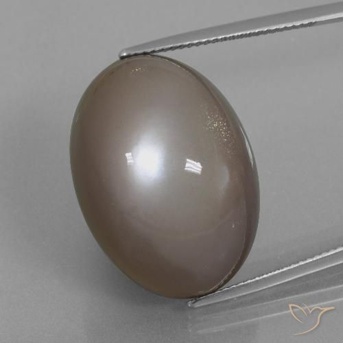 39.74ct Natural Marrón medio Piedra de Luna, Ovalada, Opaco