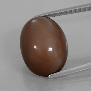 Piedra de luna marrón natural de 22,96 ct, corte óvalo, opaco