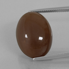 Piedra de luna marrón chocolate natural de 20,25 ct, corte óvalo, opaco