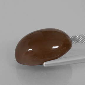 Piedra de luna marrón chocolate natural de 20,25 ct, corte óvalo, opaco