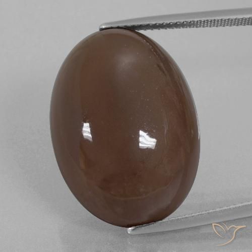 28.02ct Natural Marrón chocolate Piedra de Luna, Ovalada, Opaco