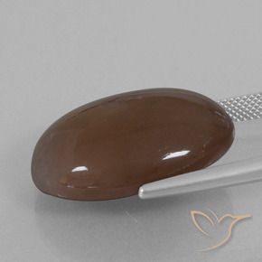 Piedra de Luna Marrón chocolate natural de 28.02 ct, Ovalada, Opaco
