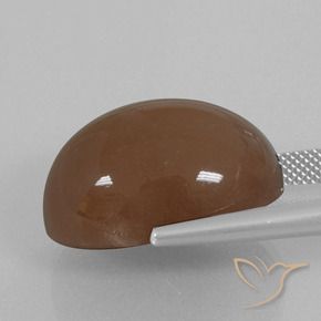 Piedra de Luna Marrón cálido natural de 29.70 ct, Ovalada, Opaco