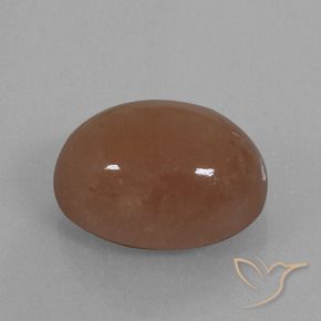 Piedra de Luna Marrón natural de 21.86 ct, Ovalada, Opaco
