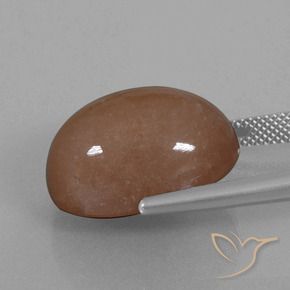 Piedra de Luna Marrón natural de 21.86 ct, Ovalada, Opaco