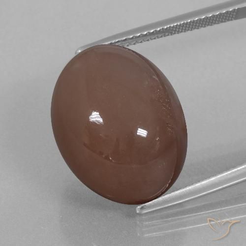25.76ct Natural Marrón expreso Piedra de Luna, Ovalada, Opaco
