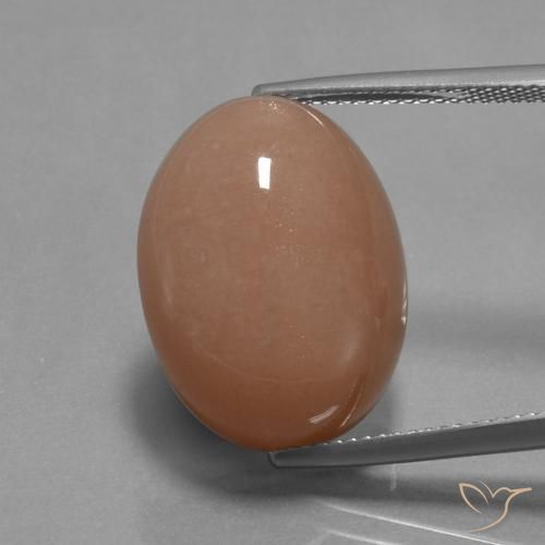 18.19ct Natural Naranja sidra Piedra de Luna, Ovalada, Opaco