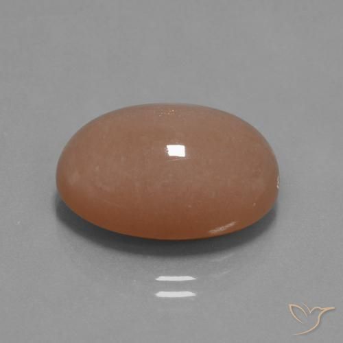 Piedra de Luna Naranja sidra natural de 18.19 ct, Ovalada, Opaco