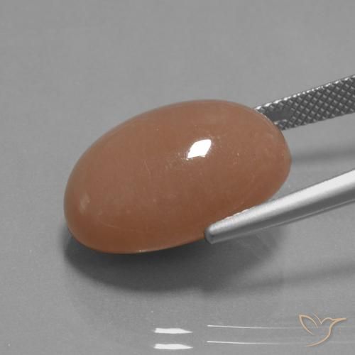 Piedra de Luna Naranja sidra natural de 18.19 ct, Ovalada, Opaco