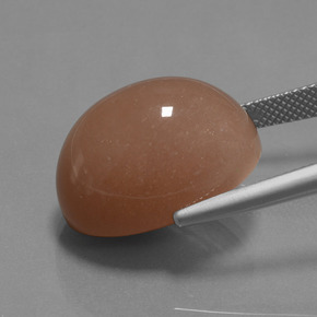 Piedra de Luna Naranja sidra natural de 24.57 ct, Corte Óvalo, Opaco