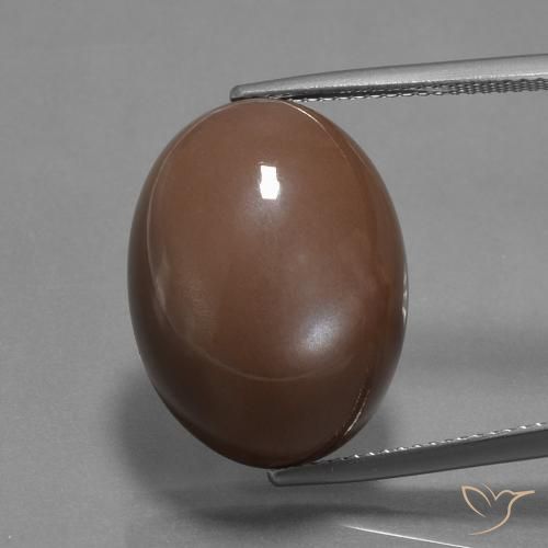 20.43ct Natural Marrón medio Piedra de Luna, Ovalada, Opaco