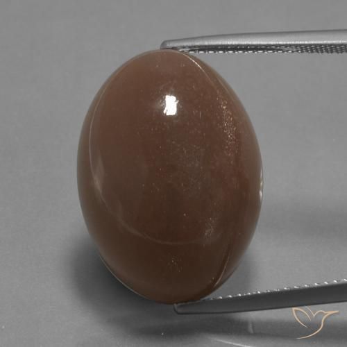 22.67ct Natural Marrón medio Piedra de Luna, Ovalada, Opaco