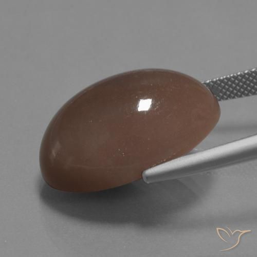 Piedra de Luna Marrón medio natural de 22.67 ct, Ovalada, Opaco