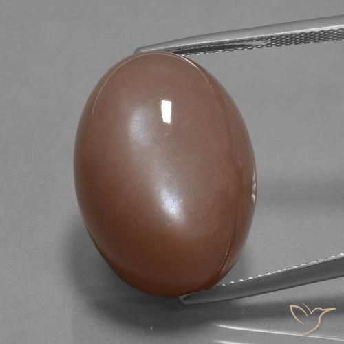 30.59ct Natural Marrón medio Piedra de Luna, Ovalada, Opaco