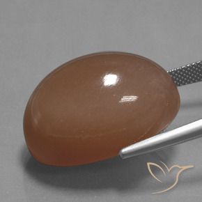 Piedra de Luna Marrón cálido natural de 44.65 ct, Corte Óvalo, Opaco