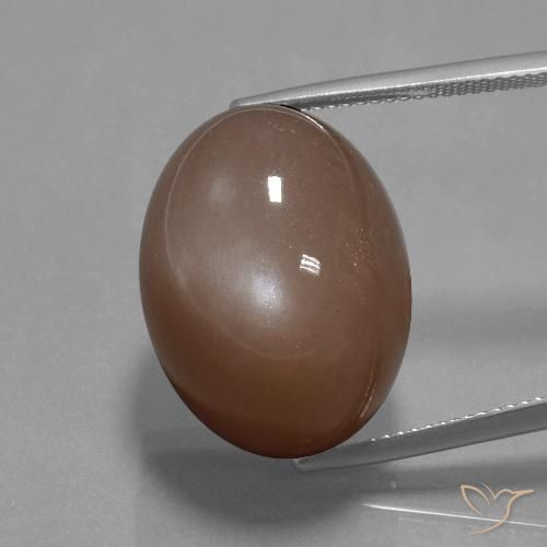 34.59ct Natural Marrón medio Piedra de Luna, Ovalada, Opaco