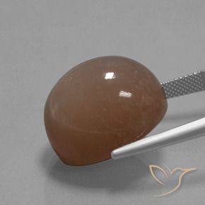Piedra de Luna Marrón medio natural de 34.59 ct, Ovalada, Opaco
