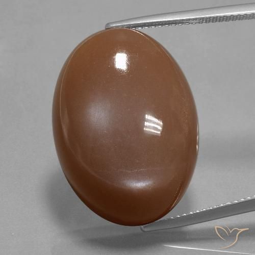 33.40ct Natural Marrón cálido Piedra de Luna, Ovalada, Opaco