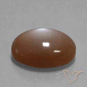 Piedra de Luna Marrón cálido natural de 33.40 ct, Ovalada, Opaco