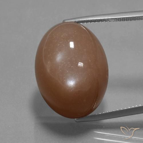 32.77ct Natural Marrón cálido Piedra de Luna, Ovalada, Opaco