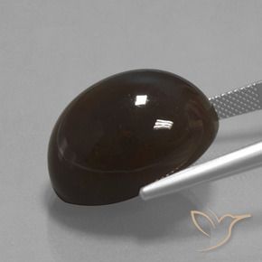 Piedra de Luna Marrón oscuro natural de 32.69 ct, Ovalada, Opaco