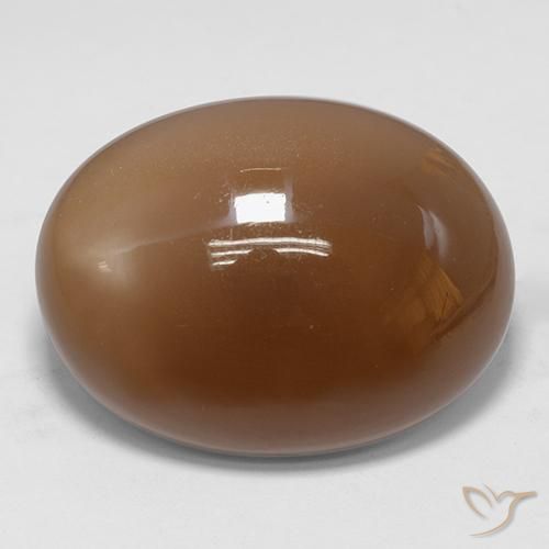 Piedra de Luna Marrón dorado natural de 30.74 ct, Ovalada, Translúcido