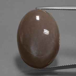 Piedra de Luna Marrón chocolate natural de 28.89 ct, Corte Óvalo, Opaco